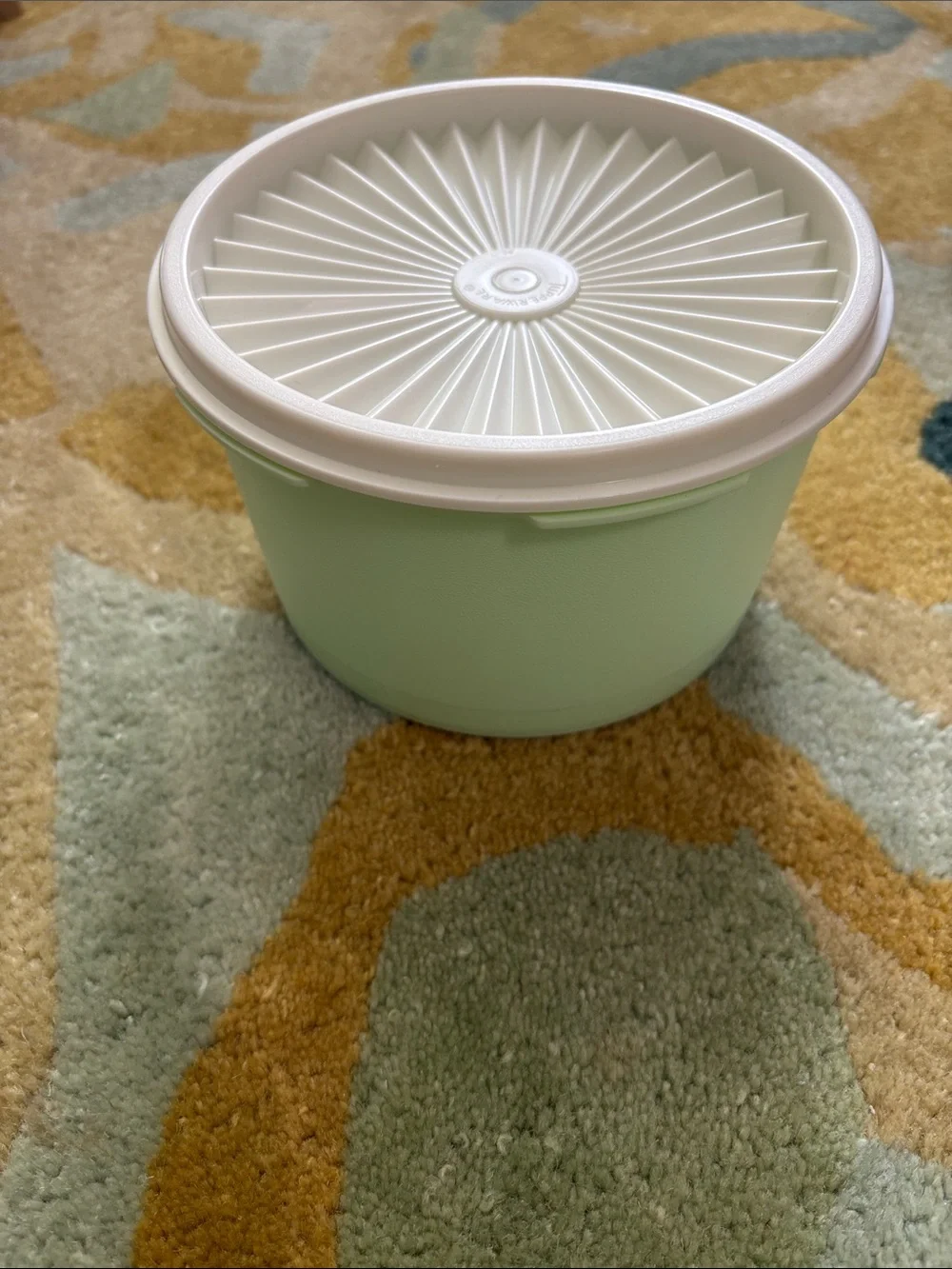 Tupperware Mint Green Storage Bowl with White Snap-On Lid